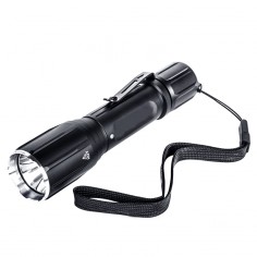 Flashlight TF010